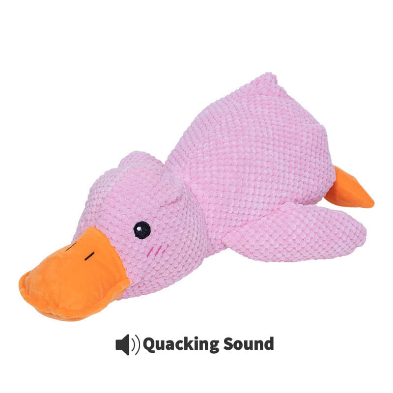 Calming Duck Toy by Wowpetsmart®