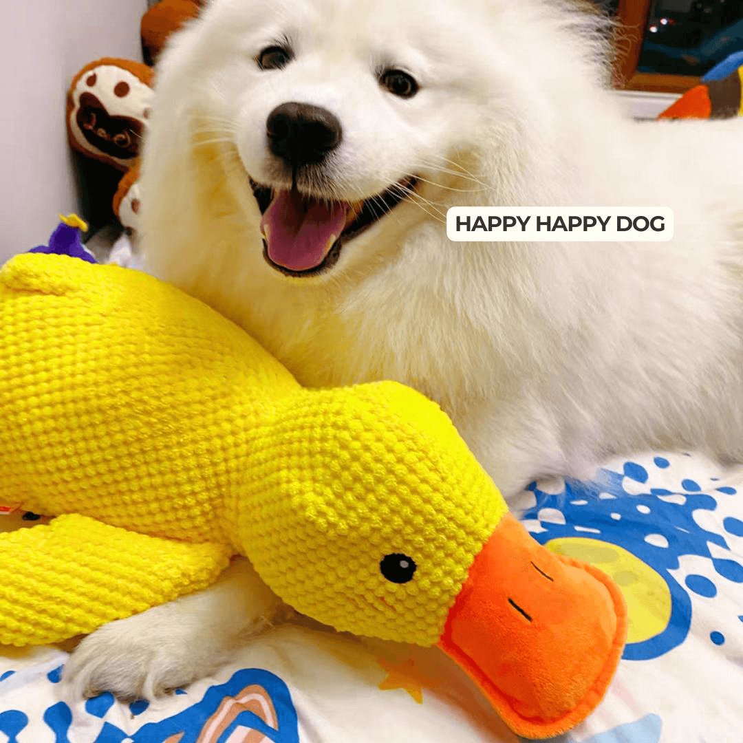 Calming Duck Toy by Wowpetsmart®