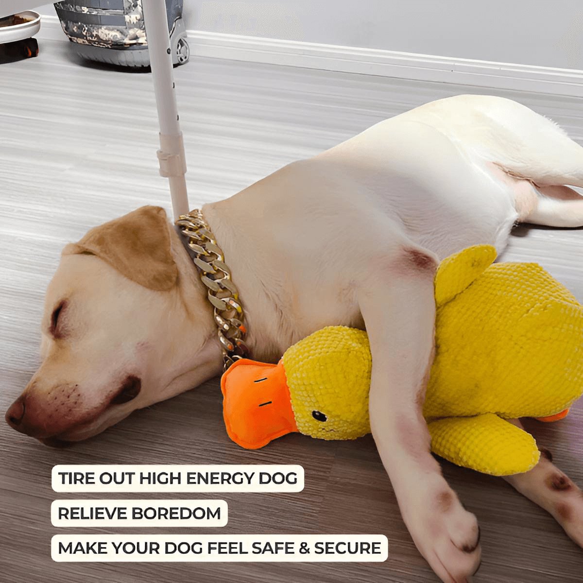 Calming Duck Toy by Wowpetsmart®