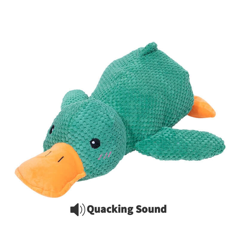 Calming Duck Toy by Wowpetsmart®